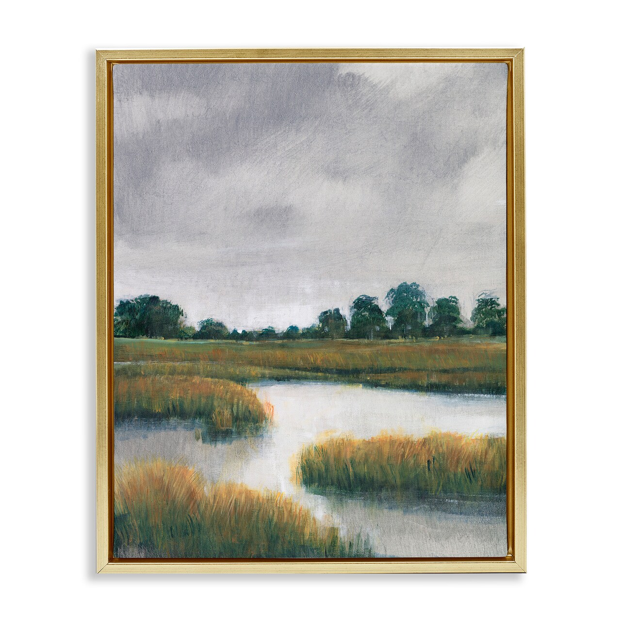 Stupell Industries Cloudy Rural Marsh Landscape Framed Floater Canvas Wall Art